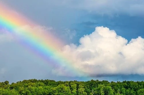 Photonwave-Licht-Therapie