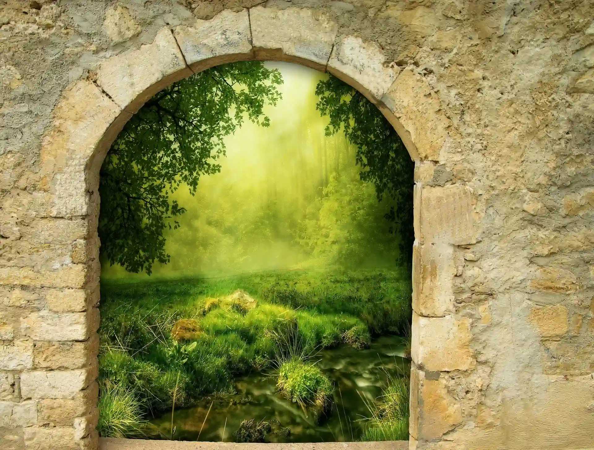 Lösungsorientierte Rückführungen